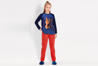 Set for teenagers THE BABY LYNX (jumper and trousers) 6617-8